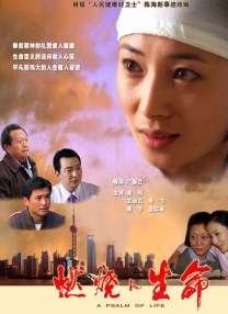 午夜理电影dy8888